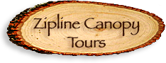 Zipline Canopy Tours