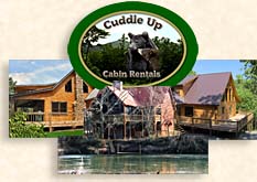 Cabin Rentals in the Blue Ridge North Georgia Area
