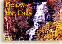 Below the Falls...Amicola Falls