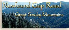 New Found Gap in the Smoky Mountains of Western North Carolina