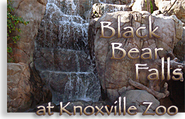 Knoxville Zoo - Great Smoky Mountains