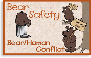 Bear and Human Conflict
