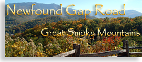 Tennessee's Newfound Gap Road