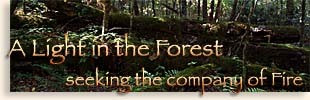 A LIght in the Forest