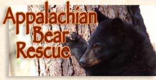 Appalachian Bear Rescue