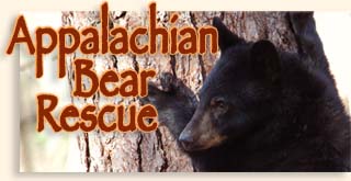 Appalachian Bear Rescue