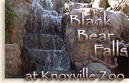Knoxville Zoo - Great Smoky Mountains