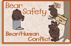 Human Bear Conflict - Bear Safety