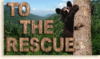 To the Rescue