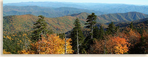 Clingmans Dome Overlook in the Fall