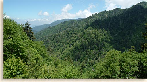 Great Smoky Mountains Rugged Landscape