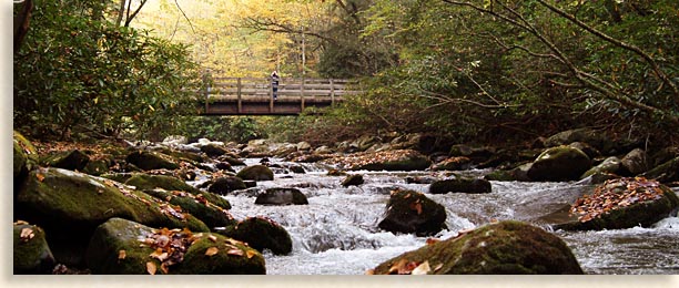 Quiet Walks in the Great Smoky Mountains along creeks and rivers