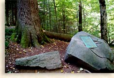 Birth of Joyce Kilmer Memorial Forest