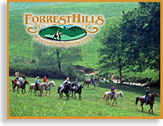 Forrest Hills Horseback Riding Stable