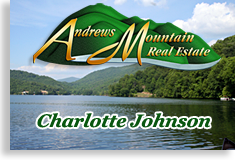 Andrews Mountain Real Estate