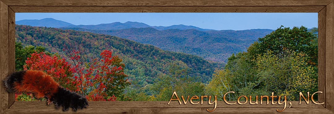 Avery County NC, home of the wooley worm festival