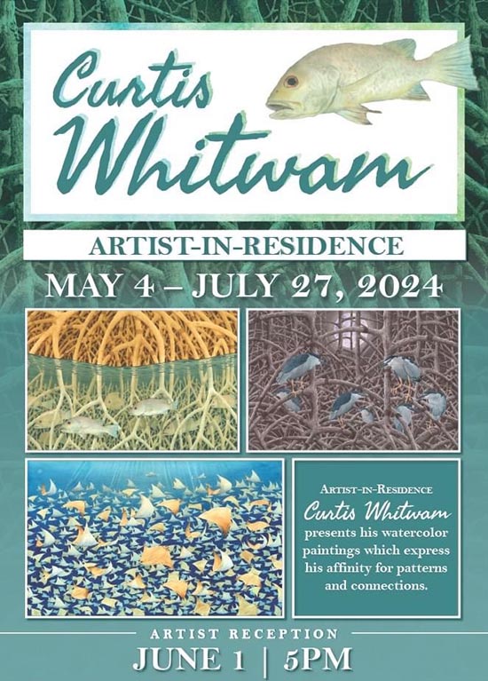 Curtis Whitwam