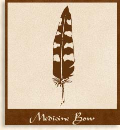 Medicine Bow Classes - Mark Warren