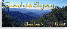 Cherohala Sky in the Tennessee Mountains