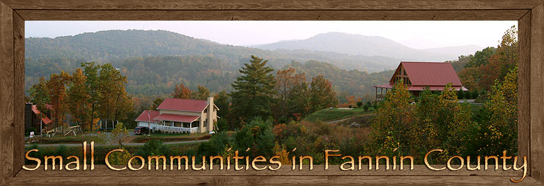 Small Communities in Fannin County