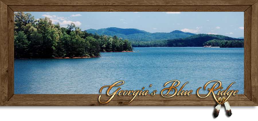 Blue Ridge Georgia and the Aska Adventure Area Fannin County Georgia