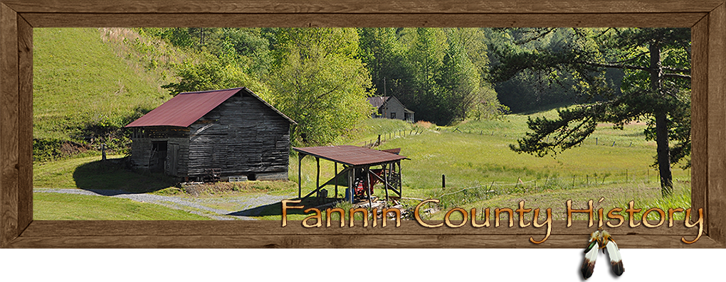 Fannin County Georgia History