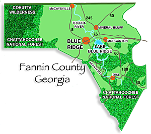 Fannin County map