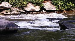 Upper Toccoa River