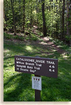 Cataloochee Primitive Campground