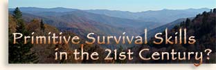Survival Skills for the 21st Century