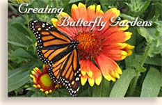 Butterfly Gardens