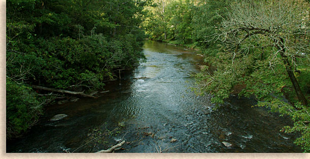 Nottely River in Blairsville Georgia