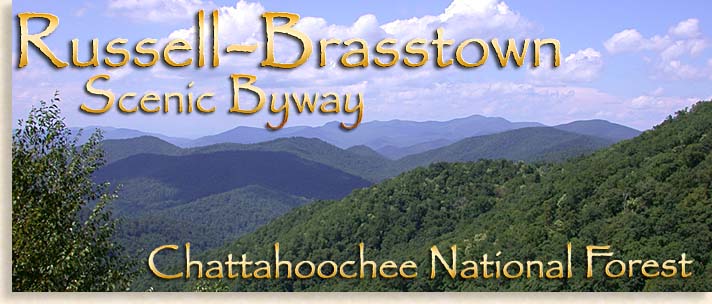 Gold City Tours from Dahlonega to Blairsville