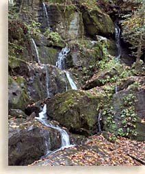 waterfall in Roaring Fork Nature Trails