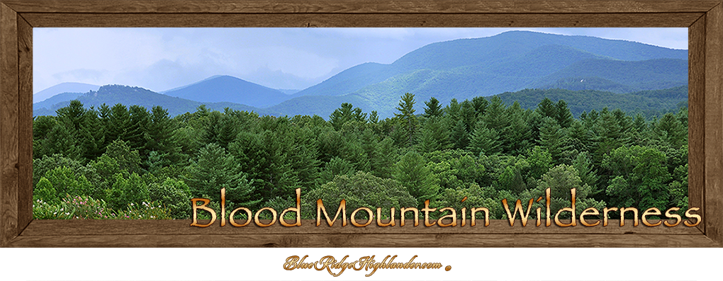 Blood Mountain Wilderness