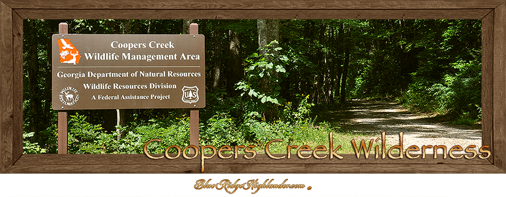 Coopers Creek Wildlife Management Area