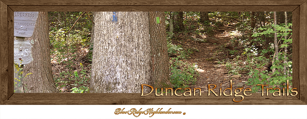 Duncan Ridge Trails