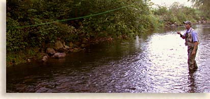 Nottely River Fly Fishing
