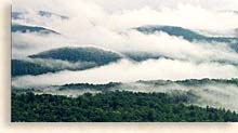 Blue Ridge Mountain Mist