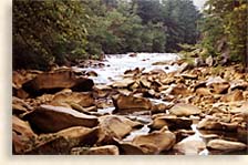 History of the Ocoee