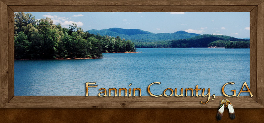 Blue Ridge Georgia and the Aska Adventure Area Fannin County Georgia