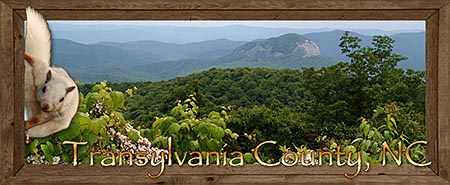 Transylvania County North Carolina