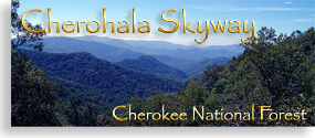 Tennessee's Cherohala Skyway