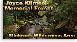 Joyce Kilmer Memorial Forest - Slickrock Wilderness Area