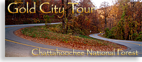 Gold City Tour