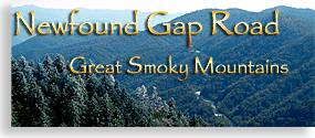 North Carolina's Newfound Gap Road
