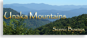 Unaka Mountains - Unicoi Mountain Wilderness