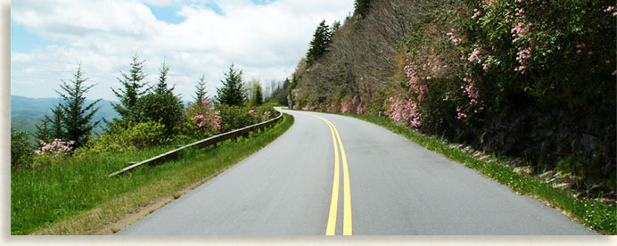 Blue Ridge Parkway with Rhododendrons