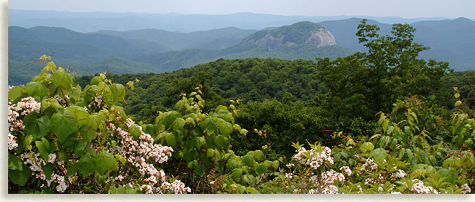 Looking Glass Rock on the Parkway