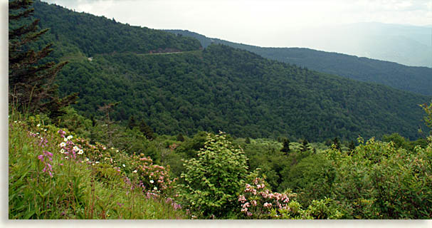 Slide Show Image